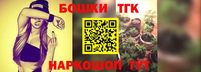 МДПВ Гусев