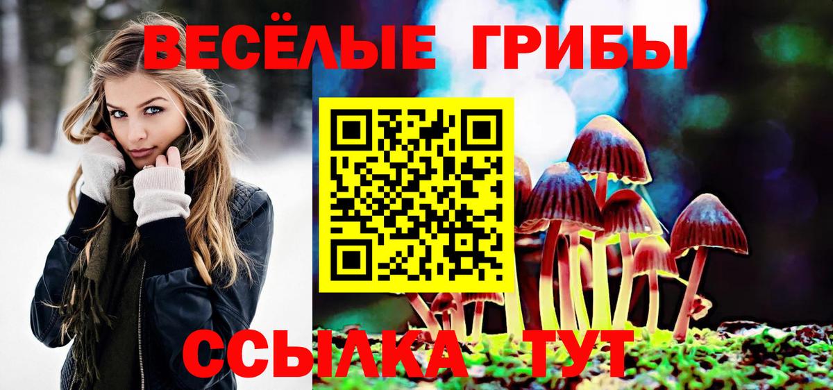 Галлюциногенные грибы MAGIC MUSHROOMS Нерюнгри