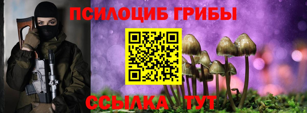 Галлюциногенные грибы мухоморы  купить наркоту  Нерюнгри  Вход с VPN 